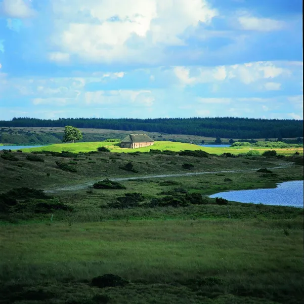 Billede 21 af First Camp Aarhus - Jylland