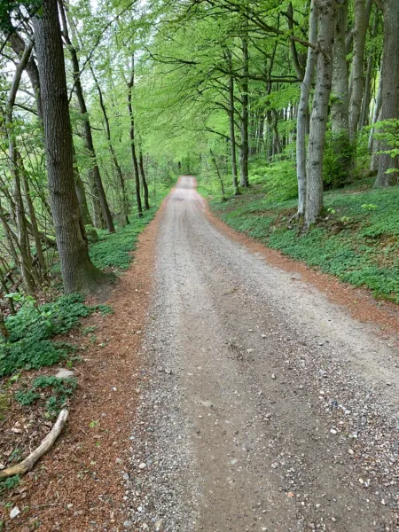 Billede 17 af Villa Toften