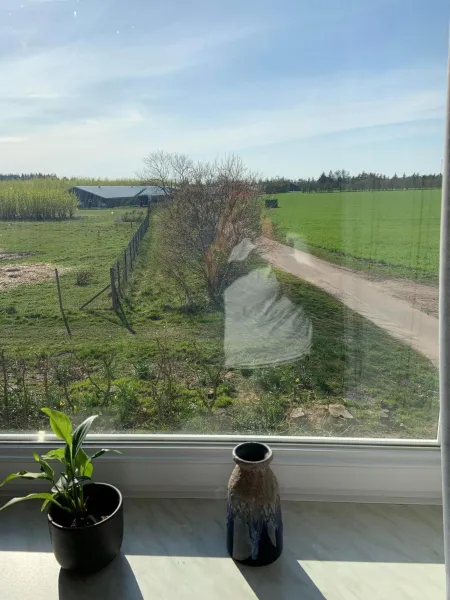 Billede 4 af Jægergård