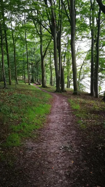 Billede 6 af Kastanievejens overnatning