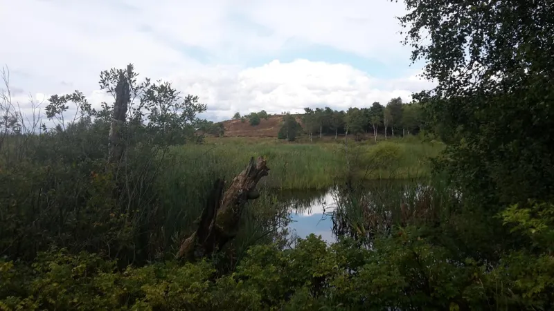 Billede 9 af Hytten