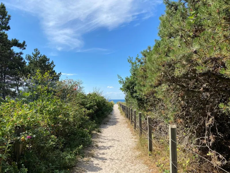 Billede 3 af Moderne sommerhus, 8 senge, 250 mtr til sandstrand