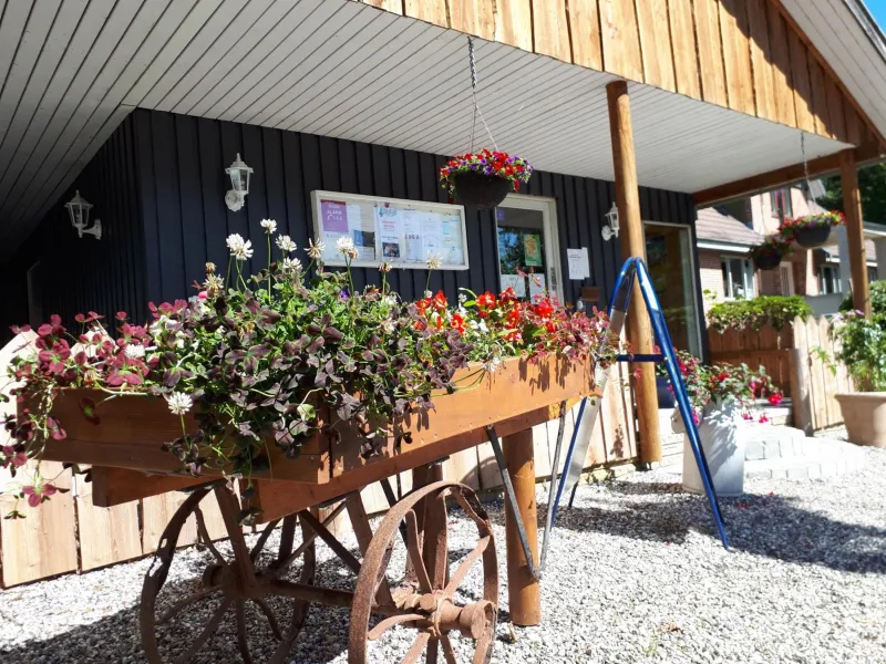 Billede 5 af Bøllingsø Camping
