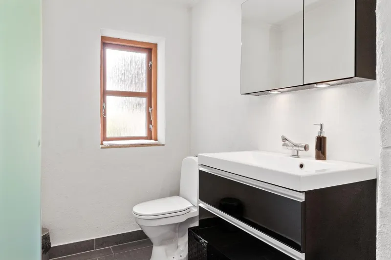 Billede 46 af Schellerup Gård