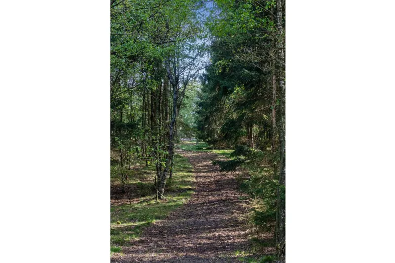Billede 83 af Schellerup Gård