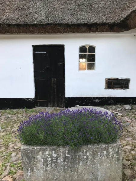 Billede 9 af Apple Cottage