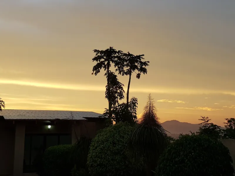 Chinyonga Guesthouse photo 4