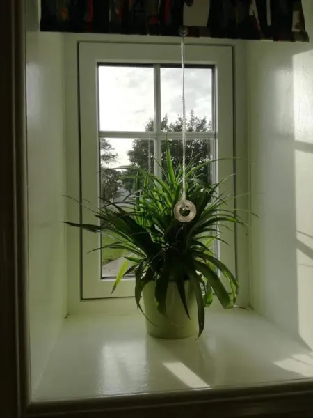 Billede 29 af Rosengaard holiday apartment and B&B
