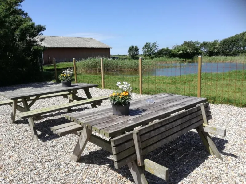 Billede 42 af Rosengaard holiday apartment and B&B