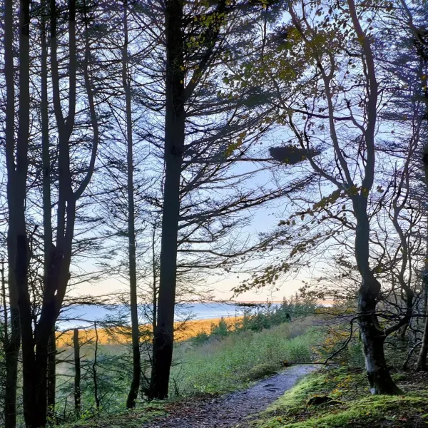 Photo 9 of Slettegaard