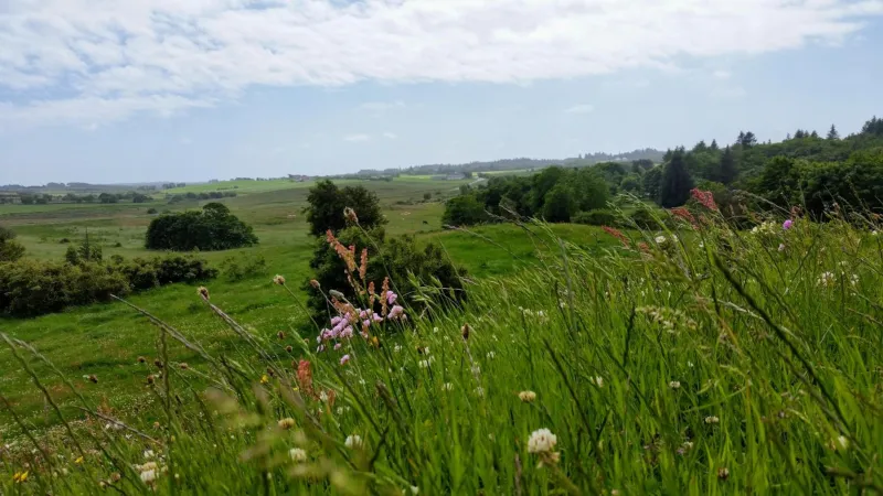 Photo 20 of Slettegaard