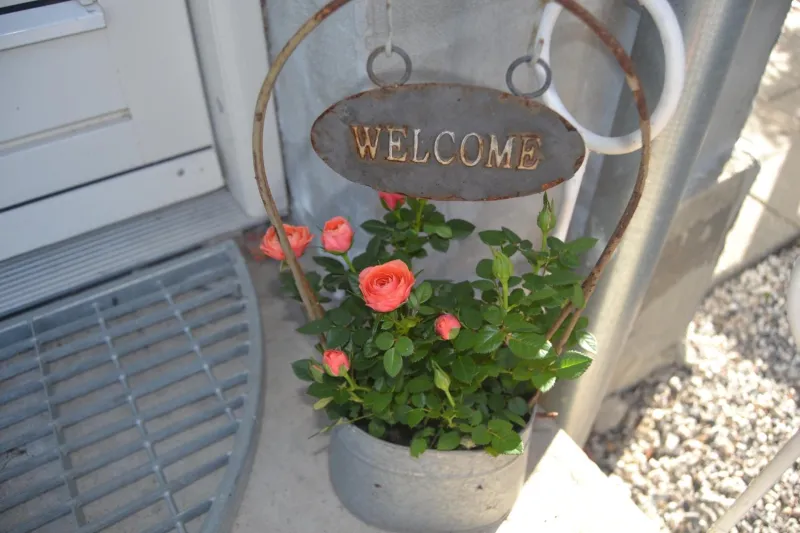 Billede 4 af Vibes bed&breakfast