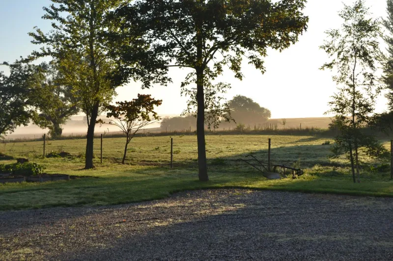 Billede 17 af Vibes bed&breakfast