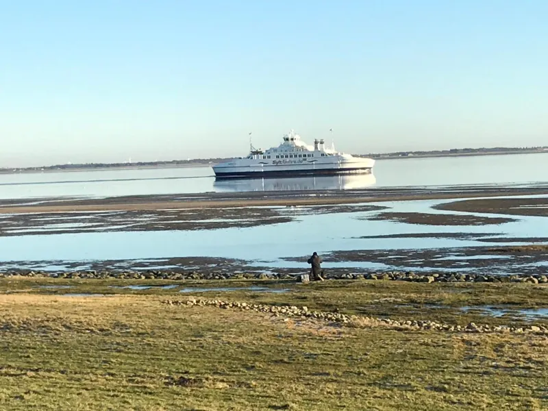 Billede 2 af Gulirisvej Havneby Rømø