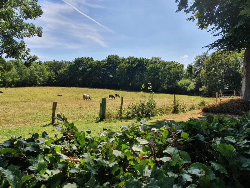 Billede 9 af Slotsgaardens hus