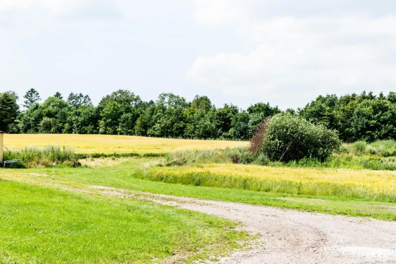 Billede 11 af Ferielejlighed Holmevej
