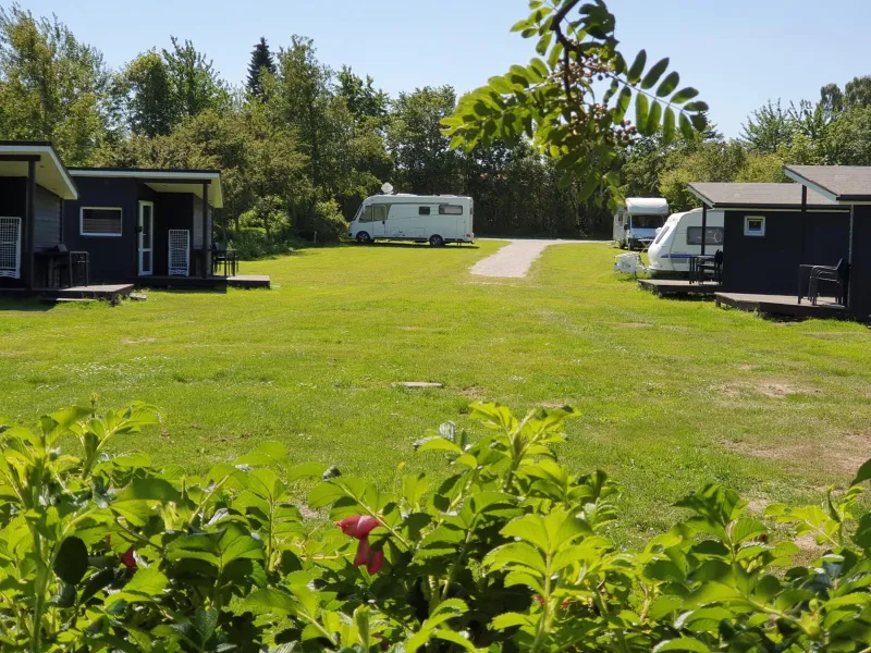 Billede 26 af First Camp Ajstrup Strand