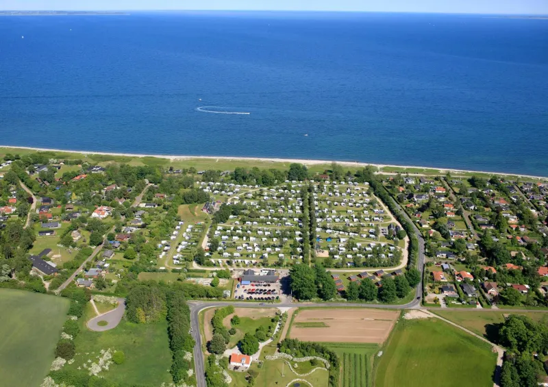 Billede 55 af First Camp Ajstrup Strand