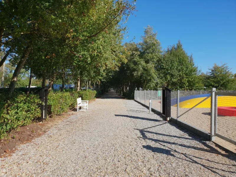 Billede 68 af First Camp Ajstrup Strand