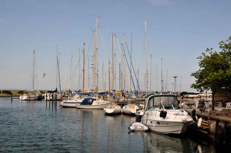 Billede 69 af First Camp Ajstrup Strand