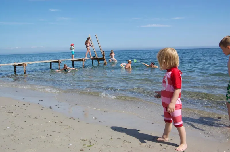 Billede 70 af First Camp Ajstrup Strand
