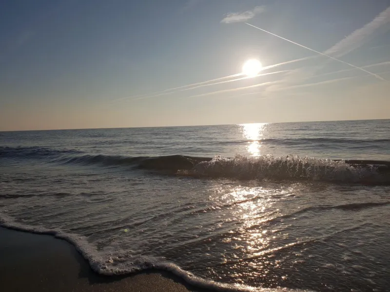 Billede 72 af First Camp Ajstrup Strand