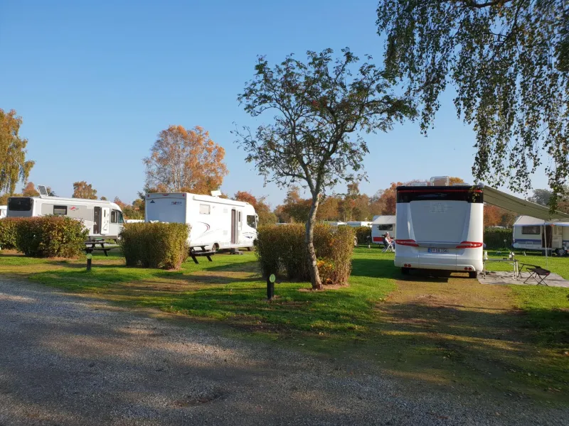 Billede 80 af First Camp Ajstrup Strand