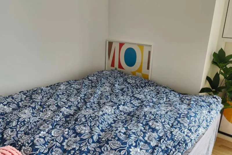 Billede 8 af Lille nest