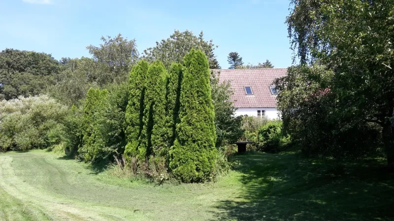 Billede 2 af Feriestedet Skovly