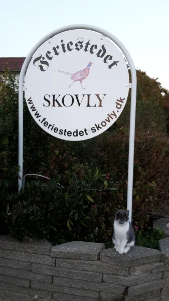 Billede 32 af Feriestedet Skovly