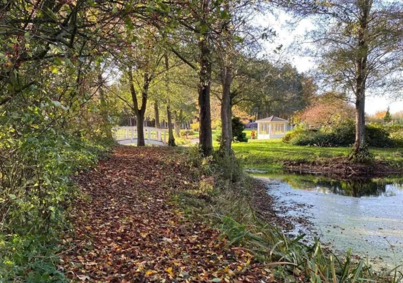 Billede 17 af Lille Grynborg