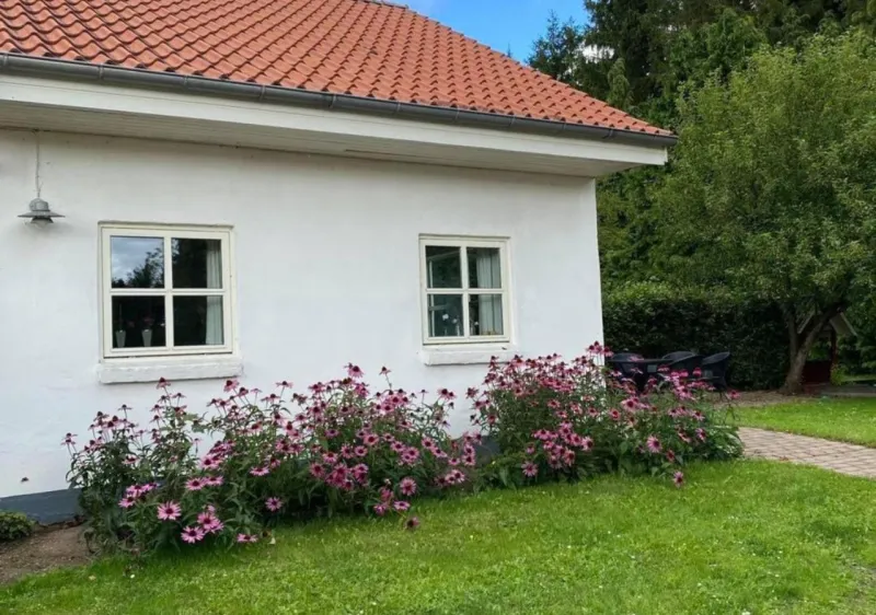 Billede 36 af Lille Grynborg