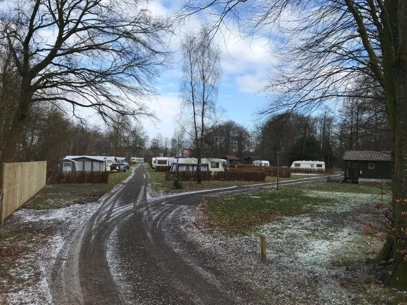 Billede 6 af Sdr. Felding camping & hytteby