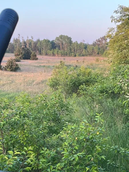 Billede 4 af Schou Lykke Nord