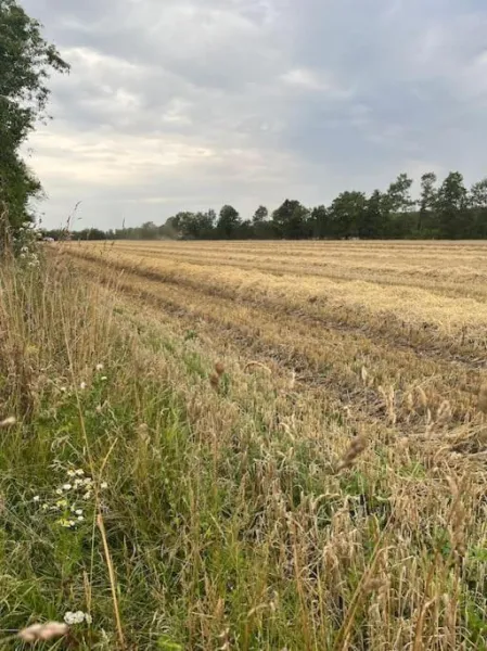 Billede 12 af Schou Lykke Nord