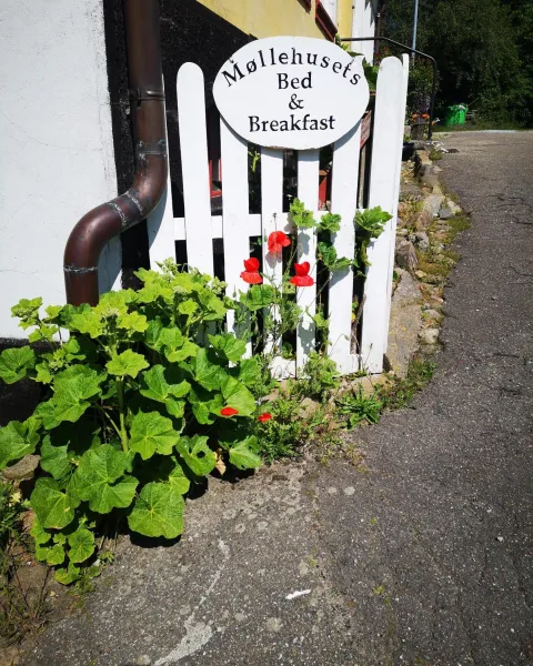 Billede 40 af Møllehusets Bed & Breakfast