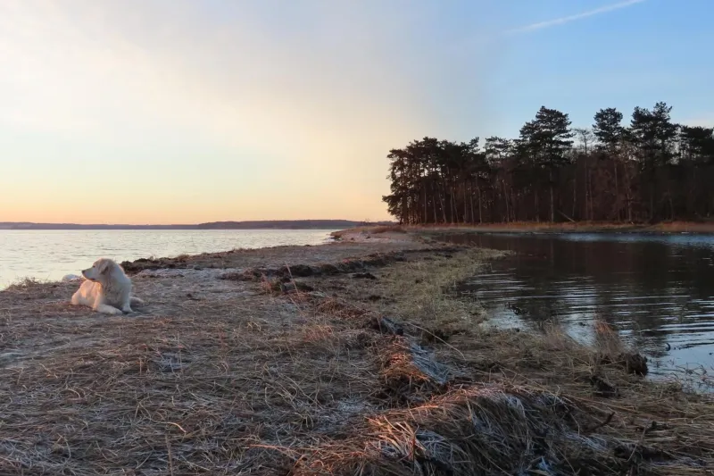 Billede 2 af Hørby Færgekro