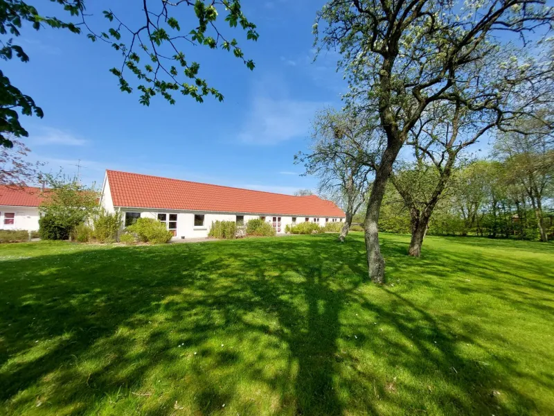 Billede 40 af Læsø Efterskole