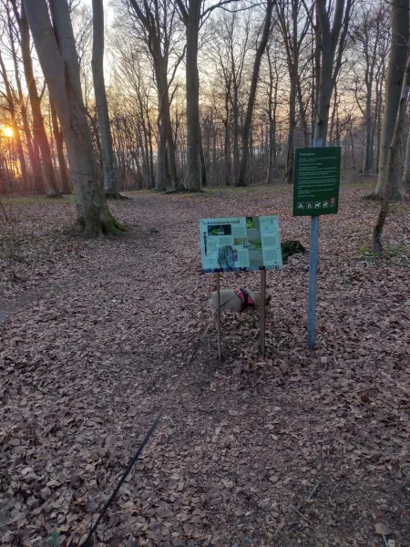 Billede 8 af Den Gamle Apotekergaard