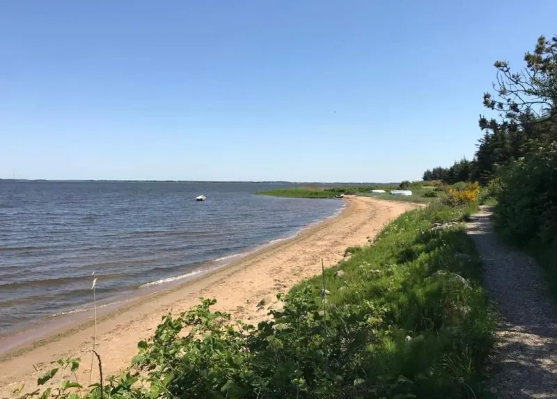 Billede 14 af Sommerhus ved Vesterhavet