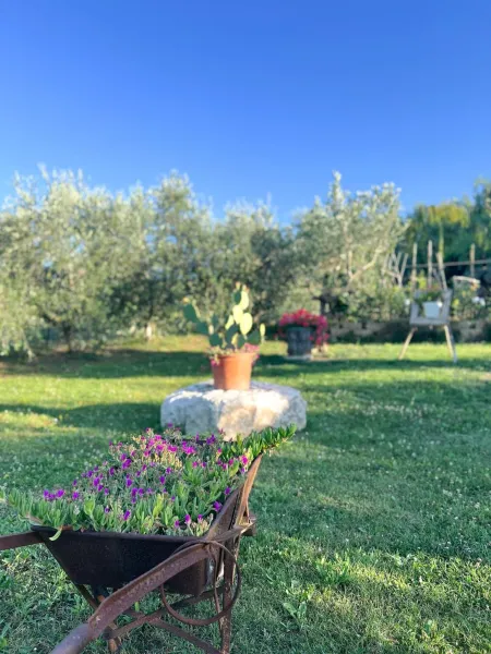 Billede 8 af Relaxing farmhouse