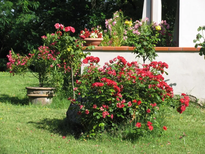 La Casa Dei Boschi billede 2