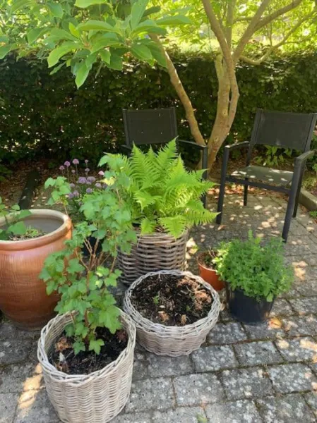 Billede 9 af Rækkehus tæt på skov, sø og by
