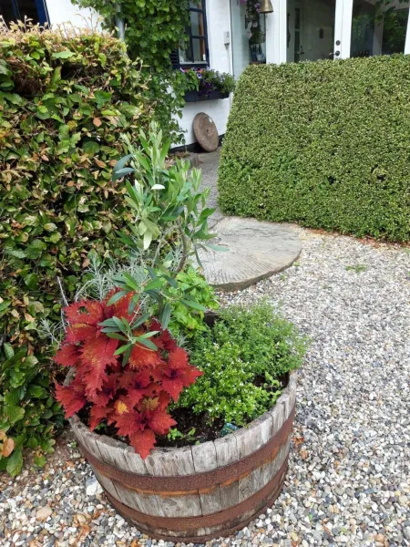 Billede 3 af Koppes Mølle B&B - naturnær overnatning