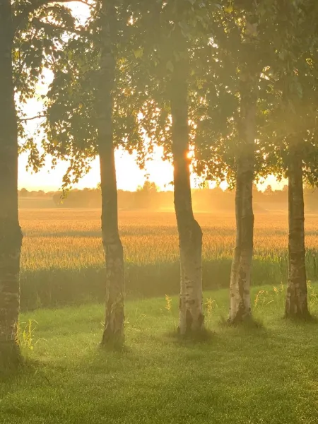 Billede 29 af Romantic Luxus Glamping 3