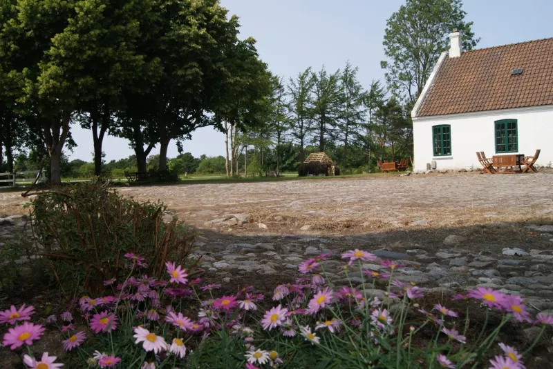 Billede 23 af Hotel Nygaard Læsø