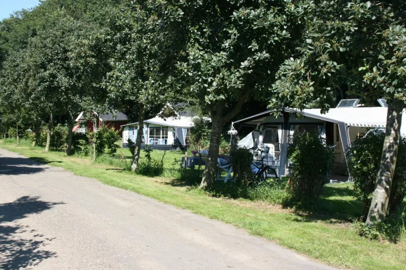 Billede 98 af Husodde Strand Camping & Cottages