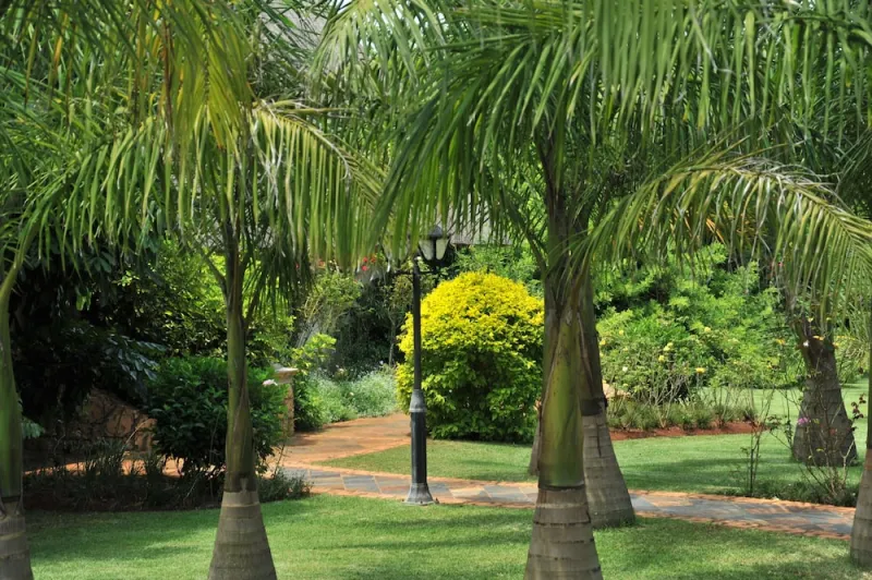 Billede 10 af Summerfield Luxury Resort & Botanical Garden
