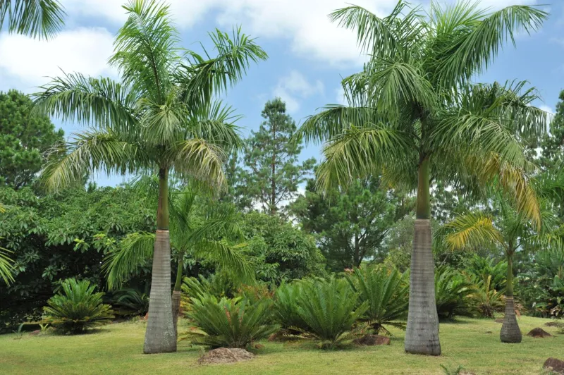 Billede 29 af Summerfield Botanical Garden & Exclusive Resort