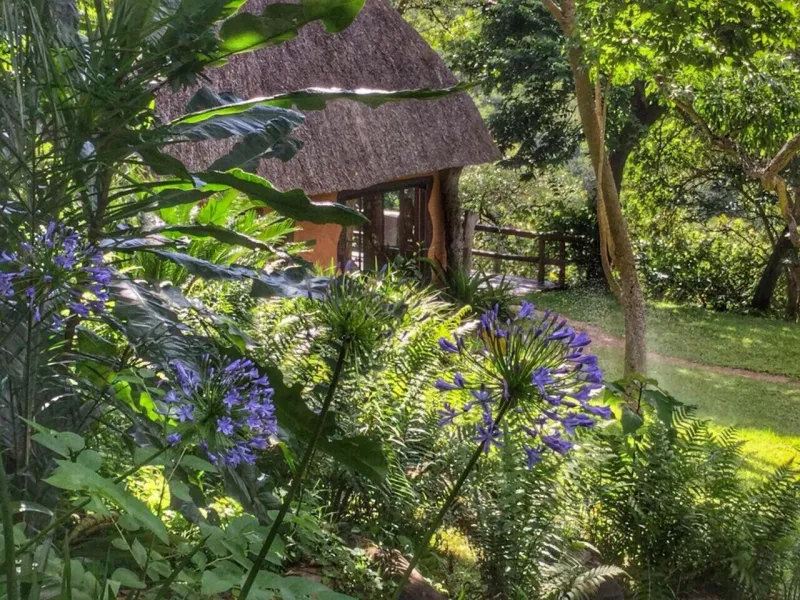 Billede 2 af Phophonyane Falls Ecolodge